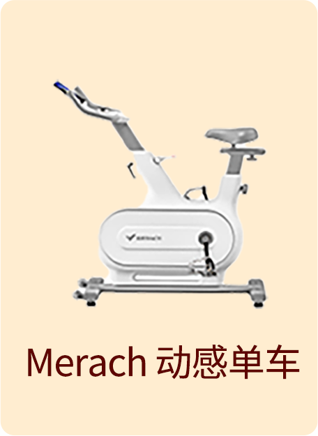 merach bike